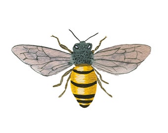 Honey Bee art print - archivering beeldende kunst