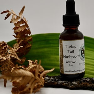 以下が含まれることがあります： 黒いスポイトキャップが付いた茶色のガラス瓶で、「Turkey Tail Mushroom Extract 1 oz」とラベルされています。瓶は木の切れ端の上に置かれ、背景には乾燥した葉と緑の葉があります。「oakandthistlehealing.com」の文字が見えます。