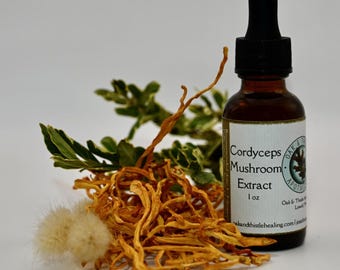 Cordyceps-paddenstoelenextract, energieondersteunend elixer, adaptogene kruidentinctuur, vitaliteitsboost, natuurlijk uithoudingsvermogen