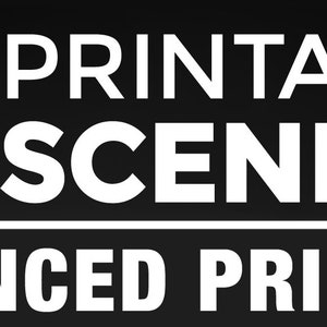 Op de afbeelding: Een zwart-wit logo met een rood 3D-printerpictogram. De tekst "PRINTABLE SCENERY LICENCED PRINTER" is wit.