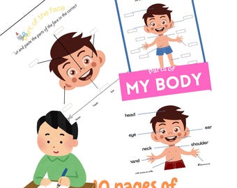 Hojas de trabajo de las partes del cuerpo para niños / Actividades de aprendizaje divertidas e imprimibles / Imprimibles del cuerpo humano