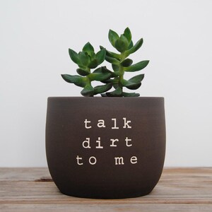 Puede incluir: Una maceta de cerámica marrón oscuro con el texto "talk dirt to me" en letras blancas. La maceta contiene una planta suculenta verde. La maceta está sobre una superficie de madera.