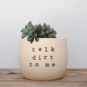 May include: A white ceramic planter with the text "talk dirt to me" in black lettering. The planter is filled with a green succulent plant.
