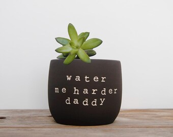 Water me harder daddy. Black pot with dirty humor.
