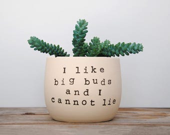 I like big buds and I cannot lie. White pot with dirty humor.