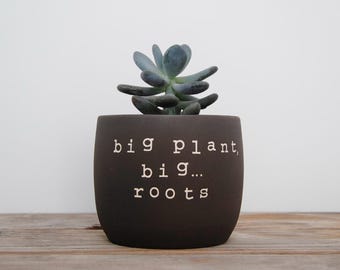 Big plant, big... roots. Black pot with dirty humor.
