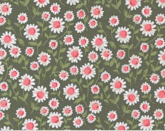 Love Note - Sweet Daisy in Olive Green: sku 5151-13 cotton quilting fabric yardage by Lella Boutique for Moda Fabrics