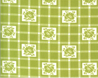 5 yard piece - BACKING - Shine On - Check in Green: sku 55212-16 cotton quilting fabric yardage by Bonnie and Camille for Moda Fabrics