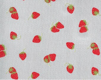 Sunday Stroll - Berry Patch in Gray: sku 55223-17 cotton quilting fabric yardage by Bonnie & Camille for Moda Fabrics