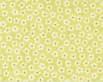 Strawberries and Rhubarb - Daisies in Sprout: sku 20405-15 cotton quilting fabric yardage by Fig Tree & Co for Moda Fabrics