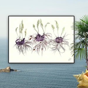 May include: A framed botanical print featuring three purple and brown root structures with green and tan stalks. The artwork is set against a white background, with a black frame. The background includes a seascape and a small palm tree.