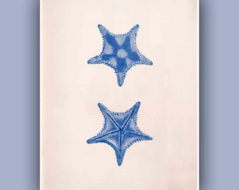 Download Decoracio de la paret vida a la costa Free Decoracio De La Paret Vida A La Costa