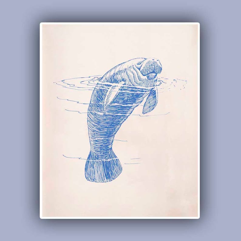 Manatee Print, blue 10x8 print, Sea creature Wall Decor, Nautical art, Seashore art Print, Coastal Living image 1