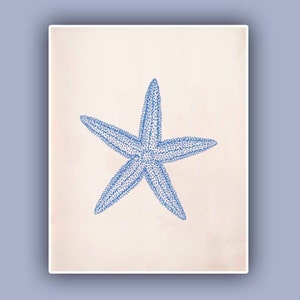 Blue Starfish Print,  Sea Star 8x10 print,  Marine Wall Decor, Nautical art,  Seashore art  Print, Coastal Living