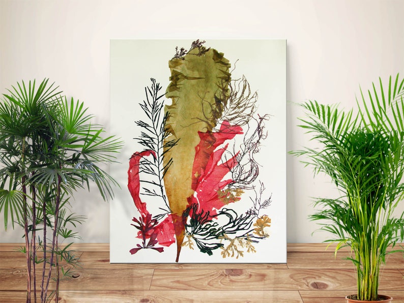 Poster inspired from my pressed seaplant artwork,Seaplant Pressing Art,ocean Pressed Seaplant Art, Coastal Wall Beach Cottage Decor Ideas, image 1