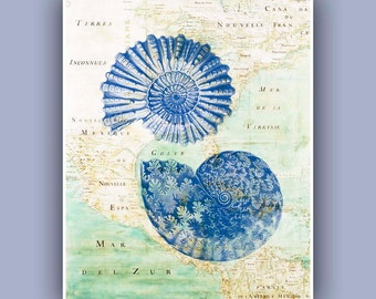 Ammonite Print in blue, fossil shell, blue print, ammonite fossil, East America old map, Marine Wall Decor,  Nautical art, Coastal Decor,