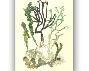 Seegras Kunst, Natur gepresster Seegras, Original Collage Seegras Pressen, Botanisches Seegras Kunstwerk, MADE TO ORDER Strand Cottage Dekor, LP158