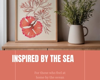 Pressed seaweed print, Red Seaweed Artwork, Ocean Flowers Poster, beach cottage decor