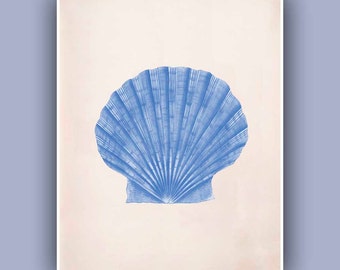Seashell Scallop  Print,  Vintage Pecten maximus sea shell print,  Marine Wall Decor, Nautical art, Oceanic living