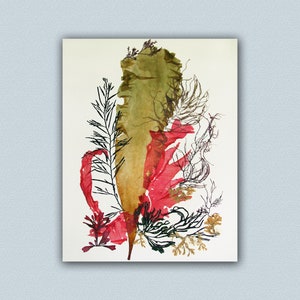 Poster inspired from my pressed seaplant artwork,Seaplant Pressing Art,ocean Pressed Seaplant Art, Coastal Wall Beach Cottage Decor Ideas, image 2