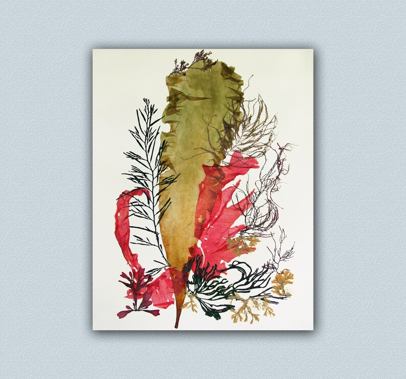 Poster inspired from my pressed seaplant artwork,Seaplant Pressing Art,ocean Pressed Seaplant Art, Coastal Wall Beach Cottage Decor Ideas, image 2