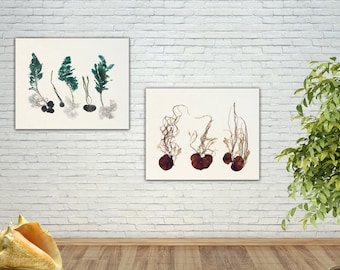 Original Pressed Seaweed Art Print Set, Coastal Cottage Decor
