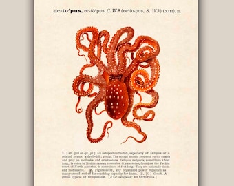 Common Octopus Print, Vintage octopus image print, Dictionary text Nautical art,  Coastal Living, beach cottage decor