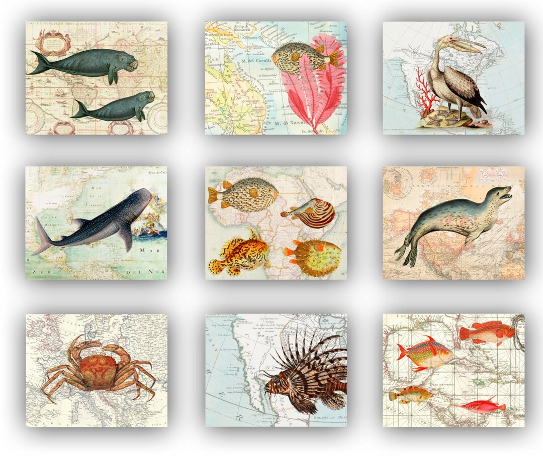 Nautical Map Art Print, Educational Display, Nursery Art, Natural