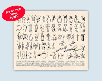 Sailor Knots Print, Vintage Nautical Art, Seaside Decor (16x20 inches)