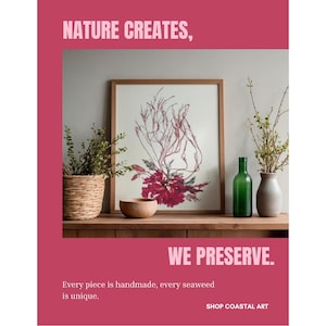 May include: A framed print featuring a red seaweed illustration on a white background, displayed on a wooden surface with a woven basket, a small wooden bowl, a green glass bottle, and a vase with branches. Text reads: NATURE CREATES, WE PRESERVE.