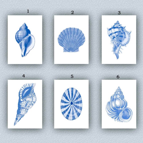 Seashell Art Set 6 Sea Shells Prints Vintage Blue Ocean Etsy