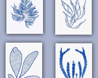 Royal Blue Seaweed Print Set, Coastal Botanical Art