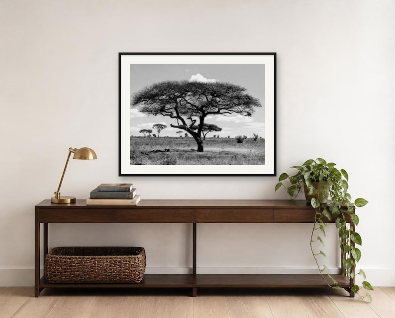 Black and White Acacia Tree Print, Minimalist Monochrome Savanna Art ...