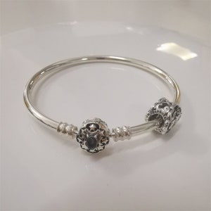 pandora s925 ale &#39;s aladdin and jasmine charm and bangle set