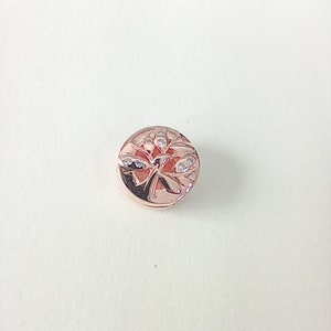 PANDORA Schmuck Reflexions Rose Clip-Charm Funkelnder Familienstammbaum