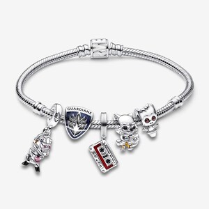 925 Sterling Silver Guard Series Pendant Bracelet 16-21cm