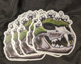 Mountain Lion Skull Etsy