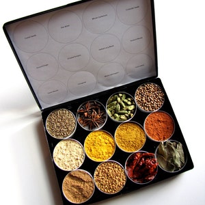 Indian spice kit in a brushed metal storage case - set of 12 - recipes included. the flavors of India at home in your kitchen.