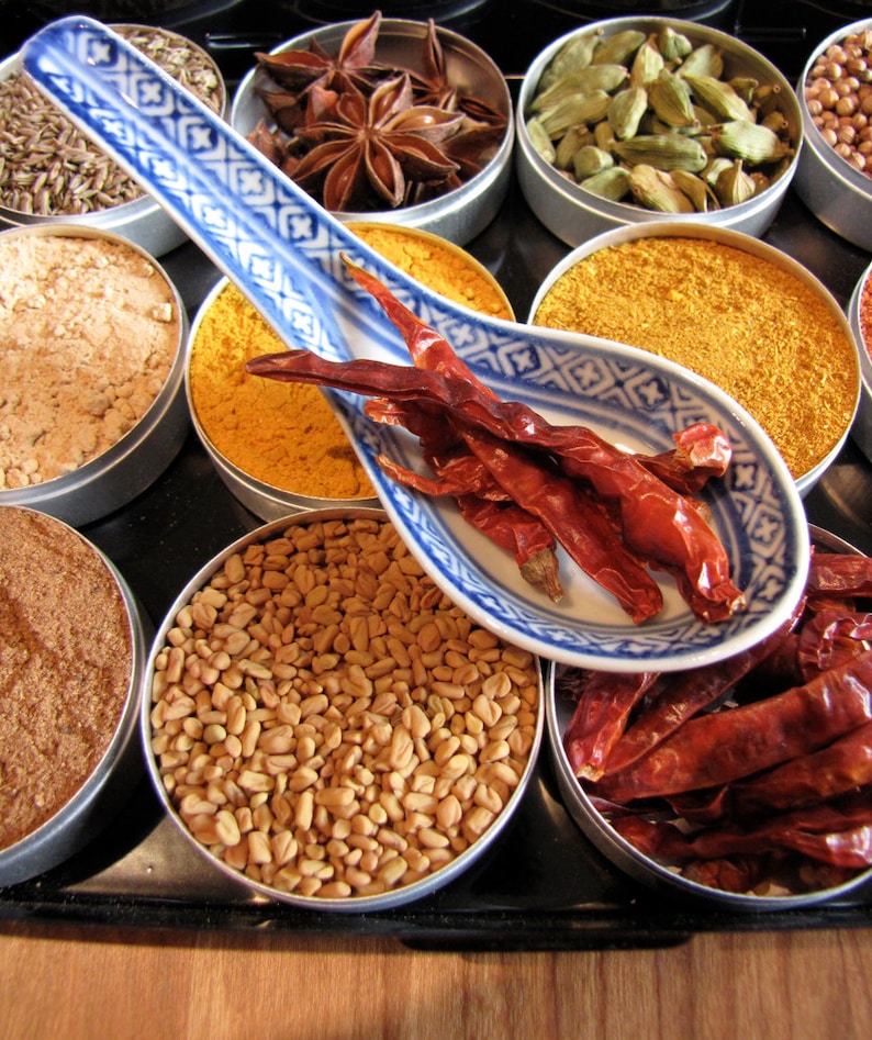 Indian Spice Kit in a Brushed Metal Storage Case Set of 12 Etsy