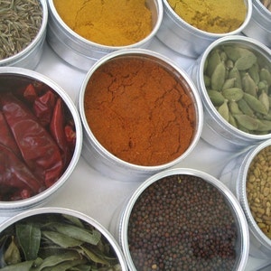 Indian spice kit - set of 15 - recipes included. the flavors of India at home in your kitchen.