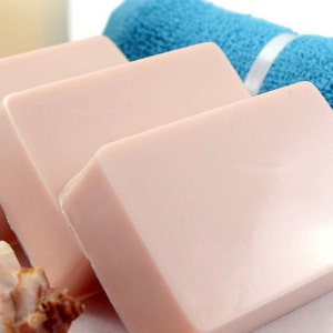 A Day at the Beach Soap Bar, Best Selling Glycerin Soap image 1