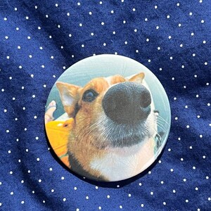 May include: A round button featuring a close-up of a dog's face, with a large black nose and brown and white fur. The background is a blue fabric with white polka dots.