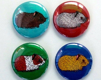 Baby Guinea Pig Magnets (Set of 4)