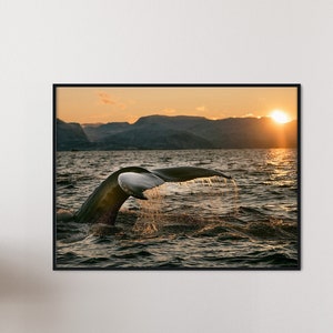 Whale Tail Print, Whale Poster, Whale Photo, Ocean Print, Beach Print, Sea Animals Print, Sea Creatures Poster, Nautical Art - Digital File