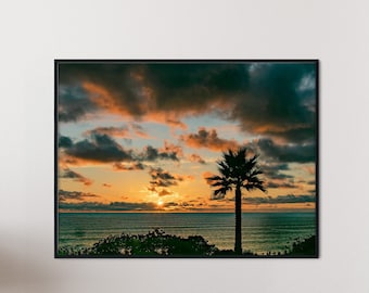 Miami Beach Sunset Print: Coastal Palm Tree Photography
