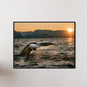 Impresión de cola de ballena, cartel de ballena, foto de ballena, impresión del océano, impresión de playa, impresión de animales marinos, cartel de criaturas marinas, arte náutico- marco opcional