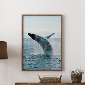 Wal-Druck, Wal-Poster, Wal-Foto, Ozean-Druck, Strand-Wanddekoration, Meerestiere-Druck, Meeresbewohner-Poster, nautische Kunst – optionaler Rahmen