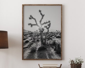 Joshua Tree National Park Photo Print: Mojave Desert Sunset