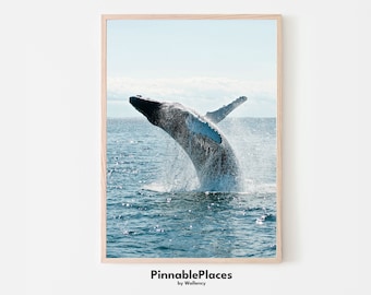 Foto de ballena en el océano: Arte mural náutico (archivo digital)