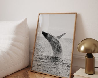 Póster de ballena en el océano: arte marino en blanco y negro